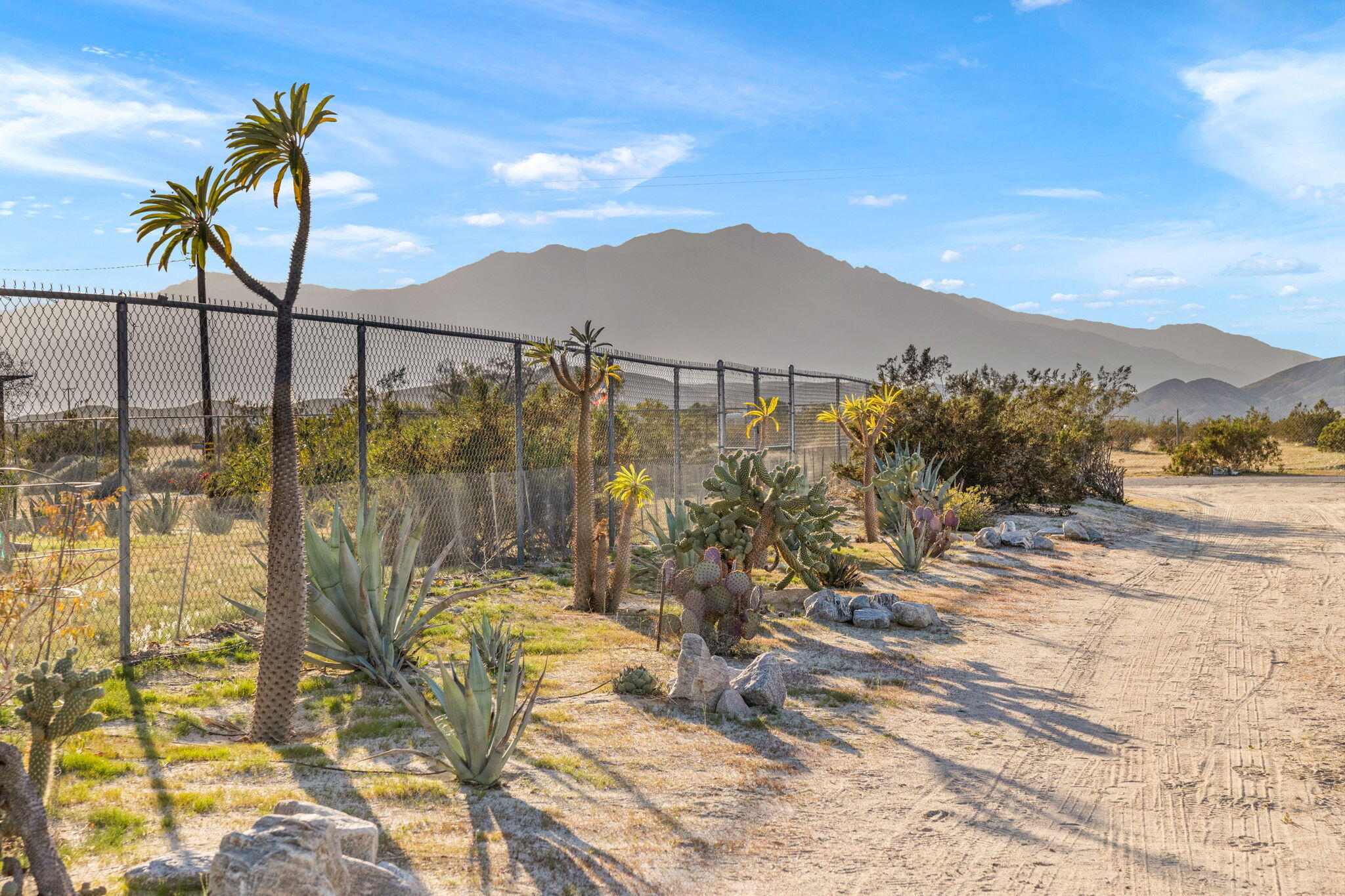 22950 Henry Road Desert Hot Springs, CA 92241 - Photo 56 of 68 31-web-or-mls-8M4A1844