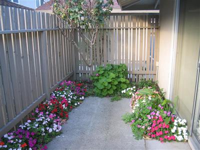 137 Roundtree Boulevard San Rafael, CA 94903 - Photo 2 of 4 Gallery Image 2