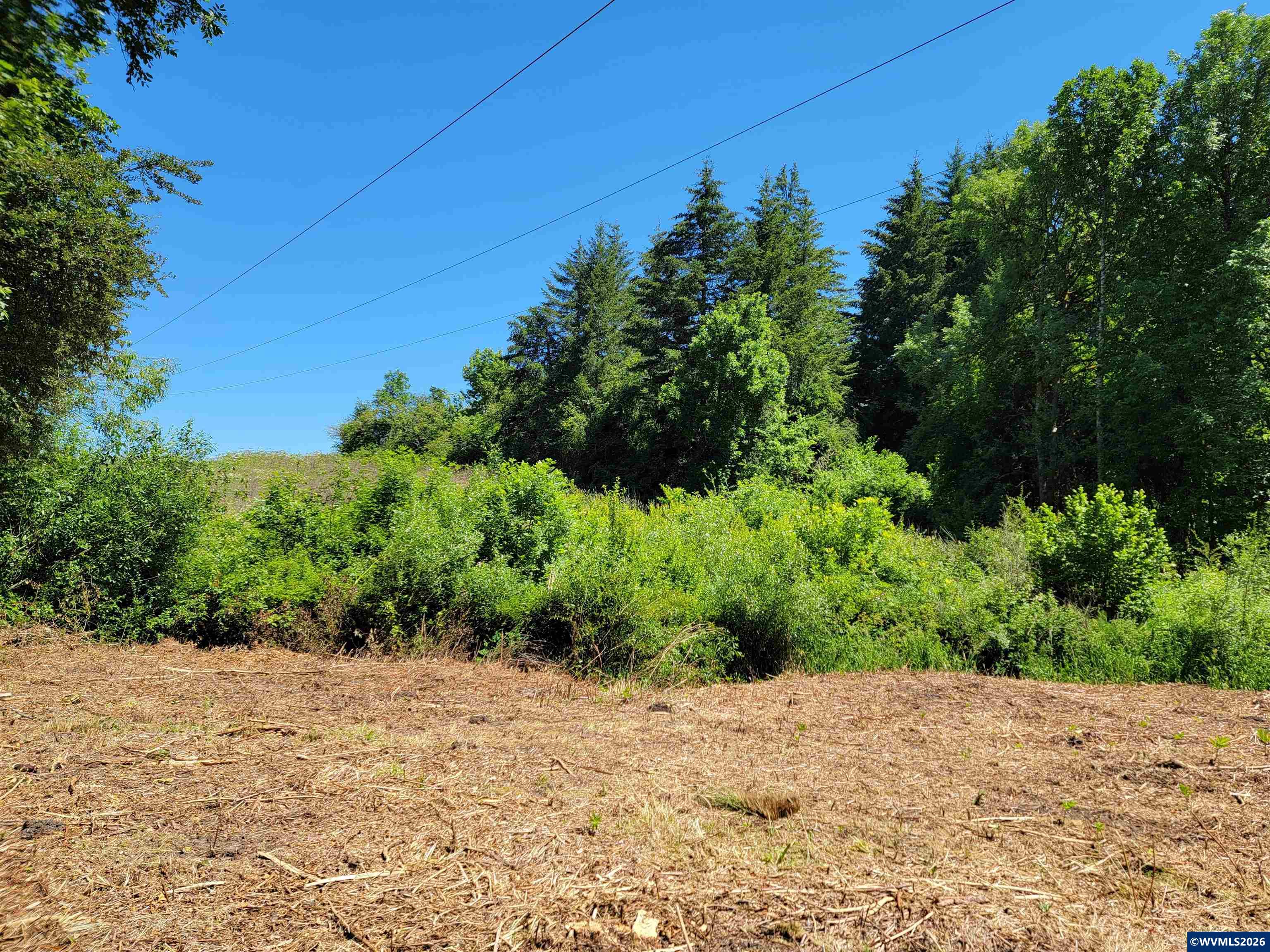 0 Oak Grove Albany, OR 97321 - Photo 16 of 30