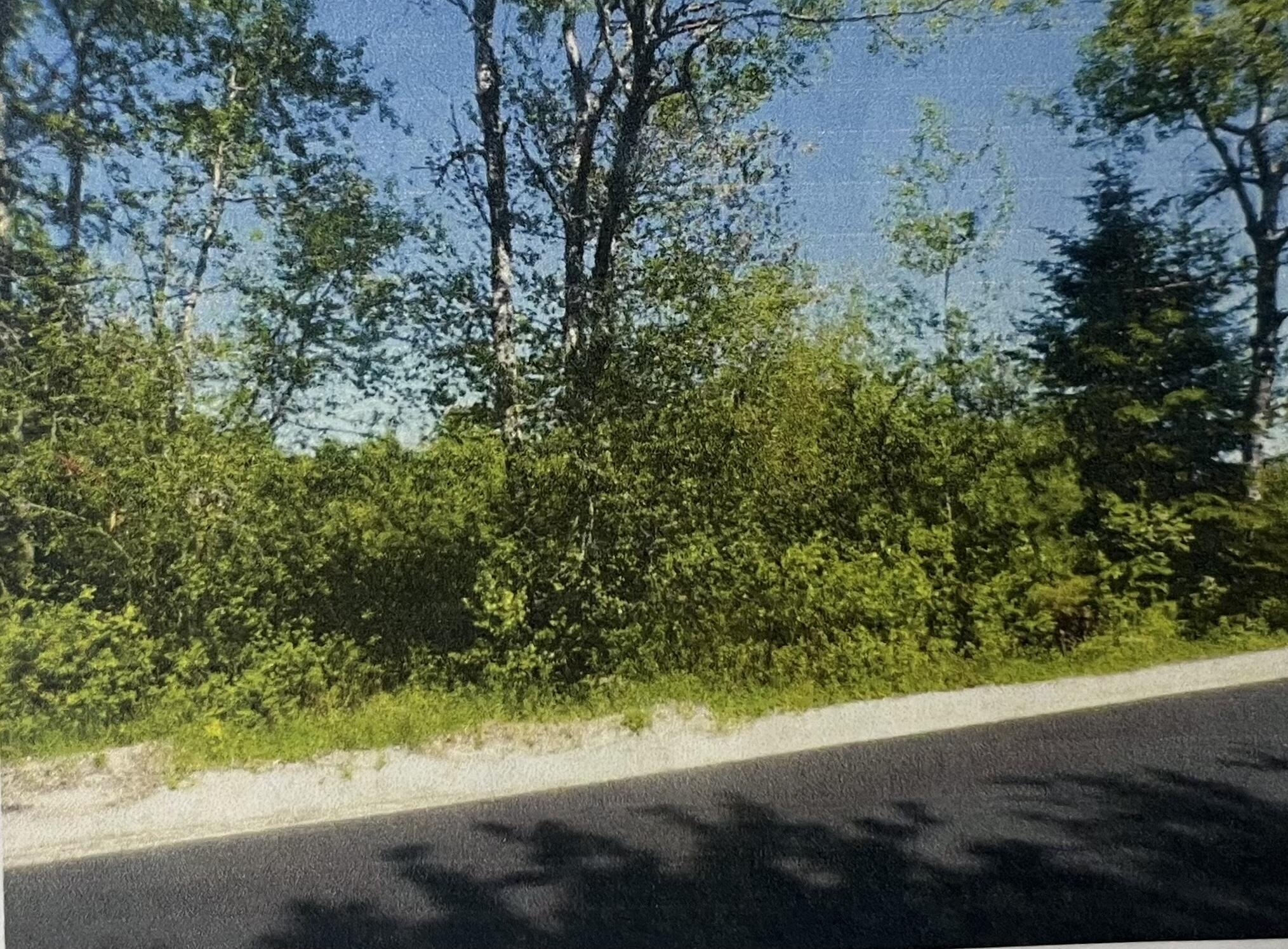 28-10a Morgan Bay Road Surry, ME 04684 - Photo 1 of 6 Street