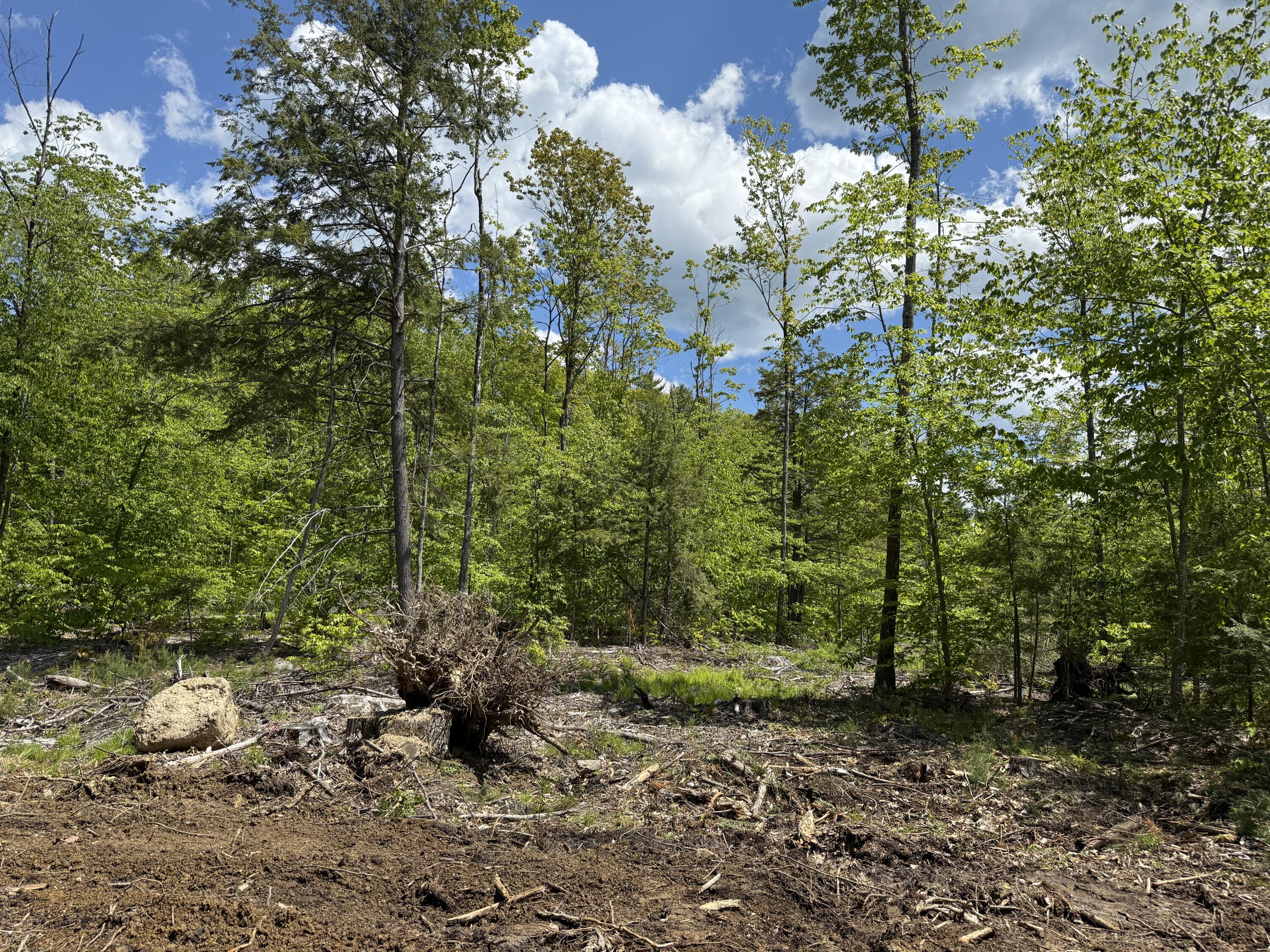 0 Rocky Point Road Harrison, ME 04040 - Photo 4 of 6 Photo 3