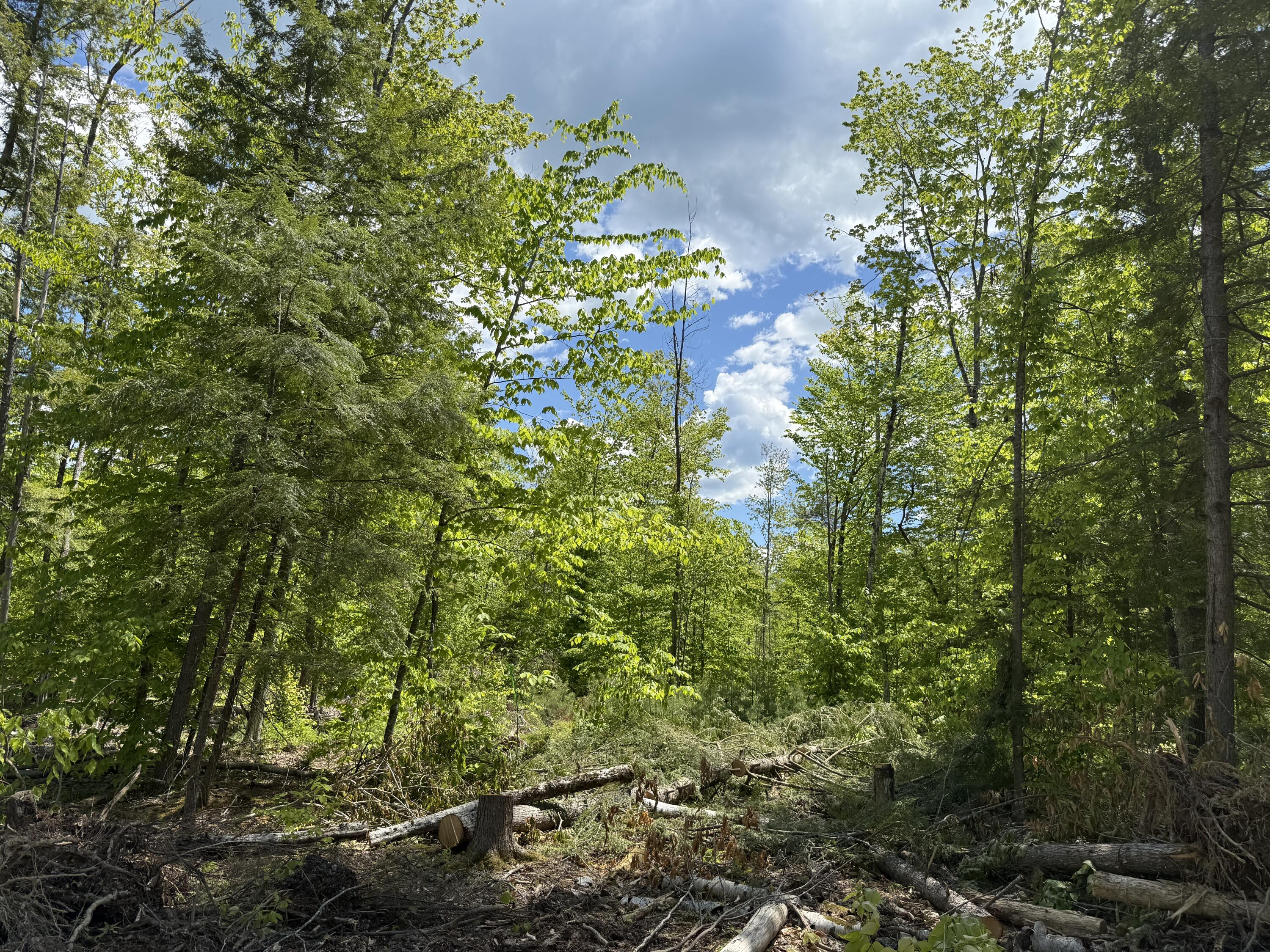 0 Rocky Point Road Harrison, ME 04040 - Photo 5 of 6 Photo 5