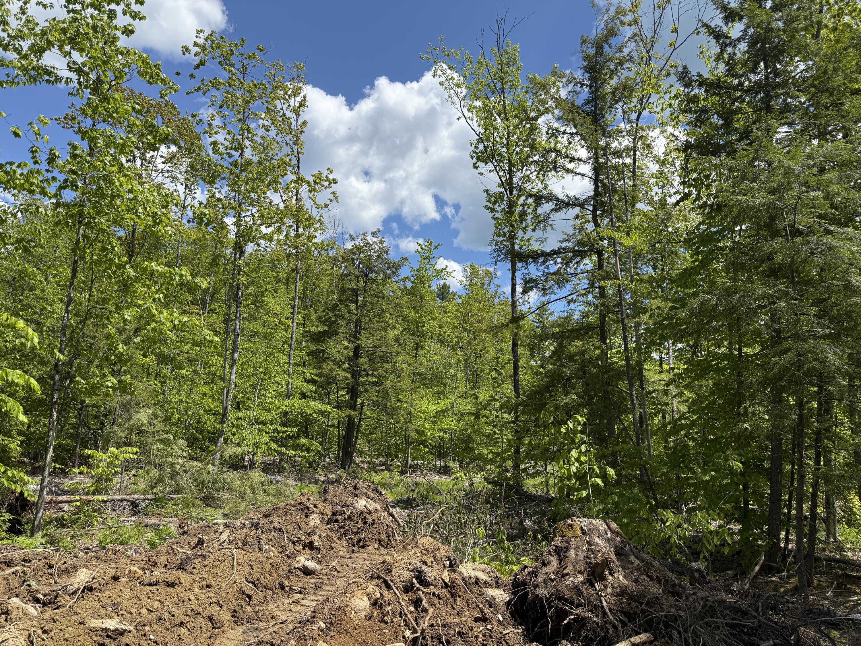 0 Rocky Point Road Harrison, ME 04040 - Photo 6 of 6 Photo 6