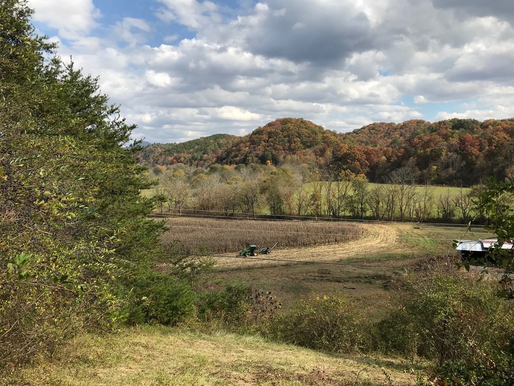 0 Dixon Branch Road Sevierville, TN 37876 - Photo 2 of 8