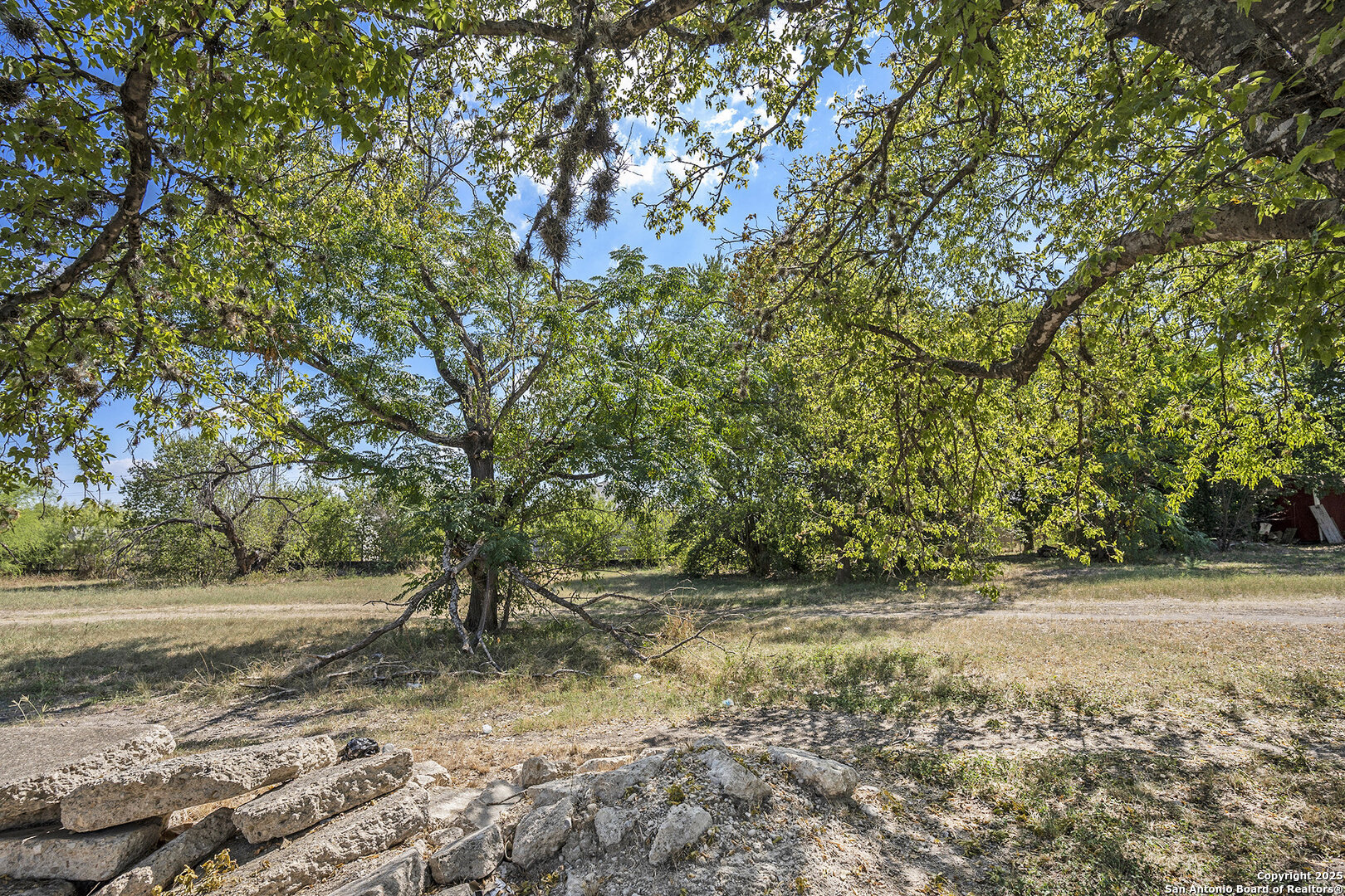 302 Southwest 41st Street San Antonio, TX 78237 - Photo 14 of 19 a view of outdoor space with trees