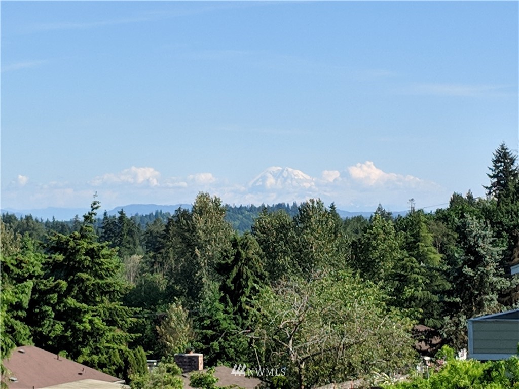22433 3rd Avenue Southeast Bothell, WA 98021 - Photo 14 of 25