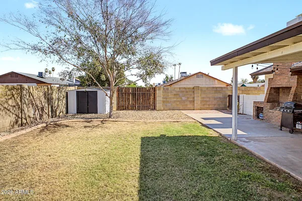 a view of a backyard