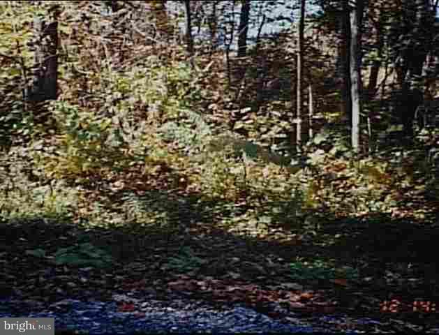 Lots Lots Pinetown Road Lewisberry, PA 17339 - Photo 1 of 1