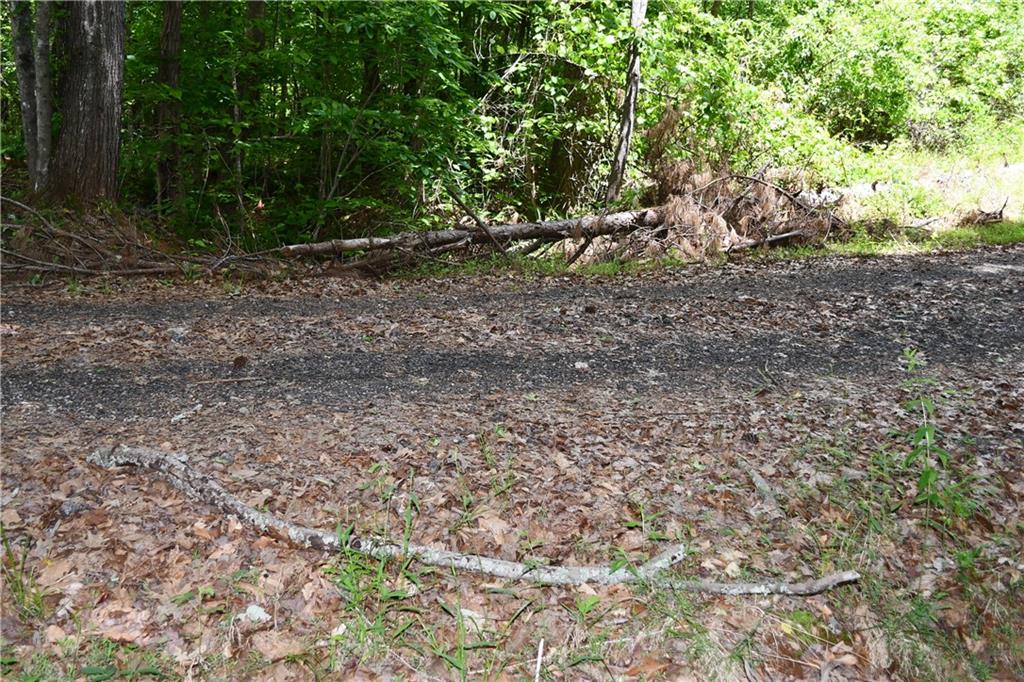 1 Wilson Road Temple, GA 30179 - Photo 45 of 88 a view of a yard with plants and trees