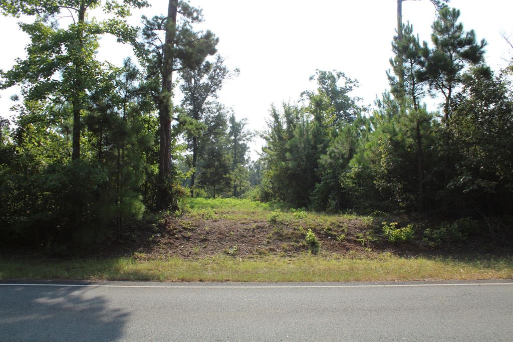 0 Germantown Road Minden, LA 71055 - Photo 1 of 4 Gallery Image 1