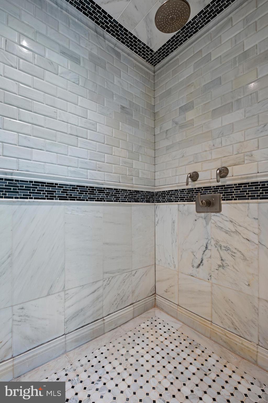 1114 Taylors Bridge Road Townsend, DE 19734 - Photo 43 of 77 Marble tiled rainwater shower
