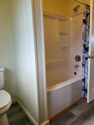 a bathroom with a bathtub and a toilet