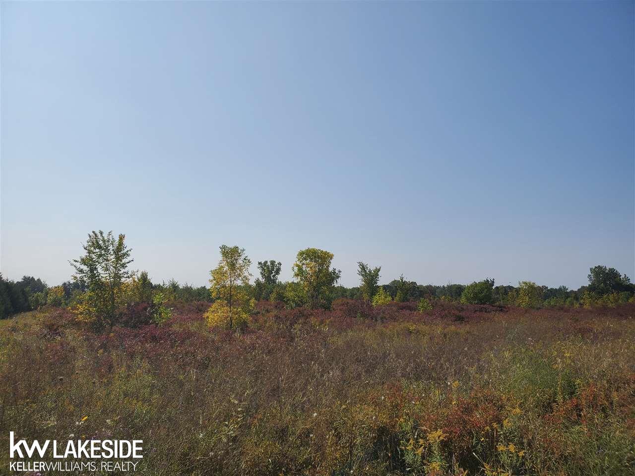 0 Schultz Road Allenton, MI 48002 - Photo 1 of 4