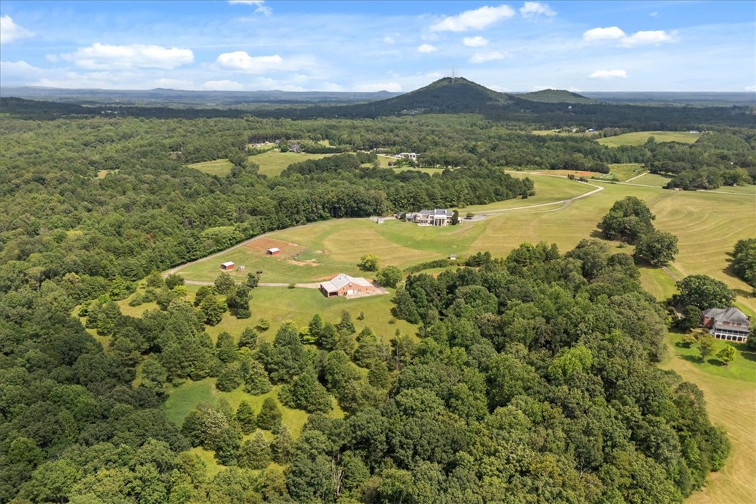 2956 Walhalla Highway Six Mile, SC 29682 - Photo 46 of 49
