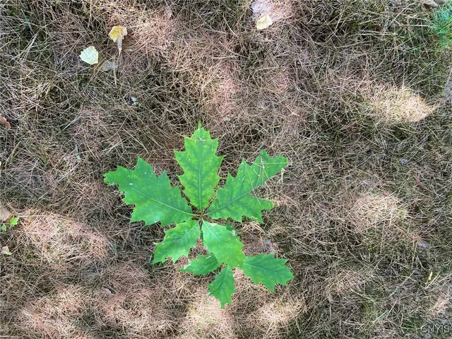 $259,900 | 590 County Road 17, Russell, NY 13684