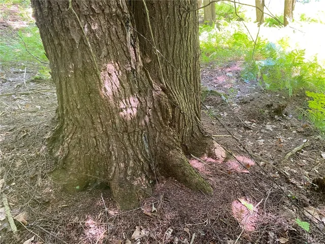 $259,900 | 590 County Road 17, Russell, NY 13684