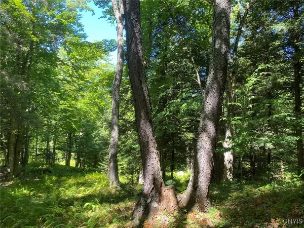 $259,900 | 590 County Road 17, Russell, NY 13684