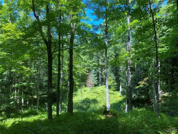 $259,900 | 590 County Road 17, Russell, NY 13684