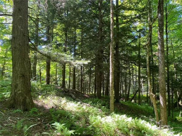 $259,900 | 590 County Road 17, Russell, NY 13684