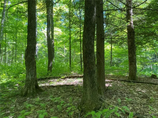 $259,900 | 590 County Road 17, Russell, NY 13684