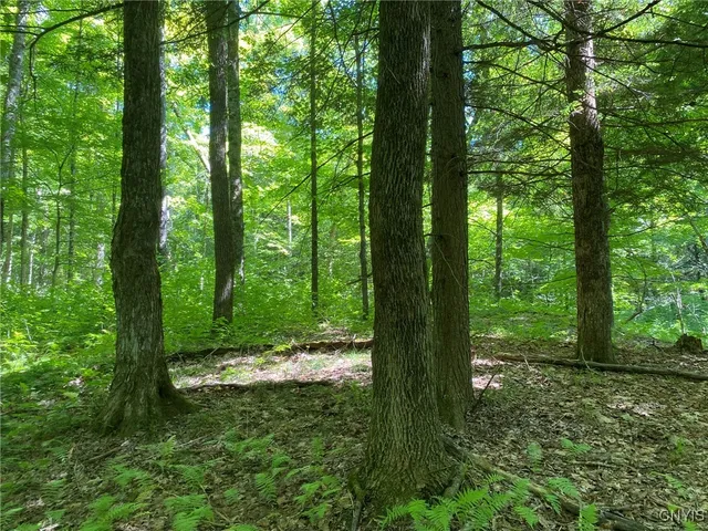 $259,900 | 590 County Road 17, Russell, NY 13684