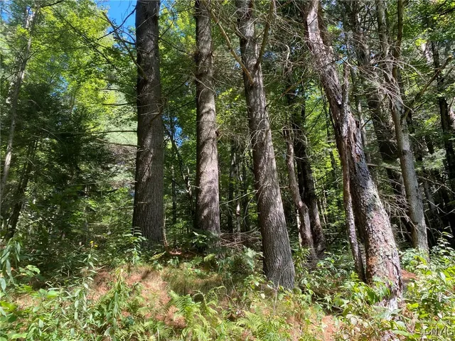 $259,900 | 590 County Road 17, Russell, NY 13684