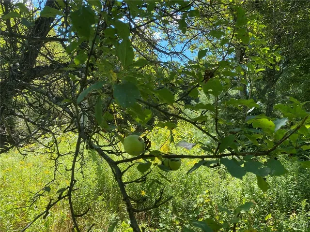 $259,900 | 590 County Road 17, Russell, NY 13684