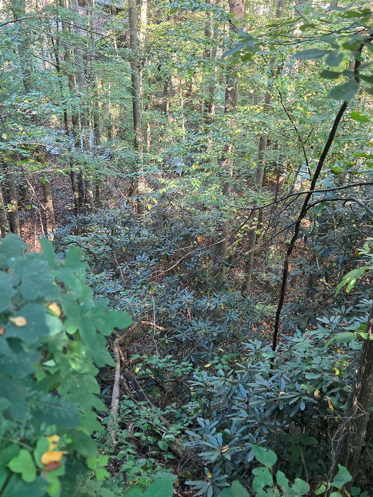 0 Lords Way Andrews, NC 28901 - Photo 11 of 14