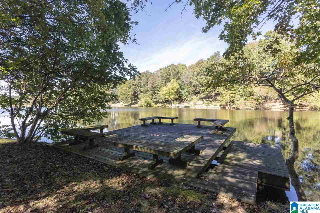 269 Rena Drive Springville, AL 35146 - Photo 47 of 50
