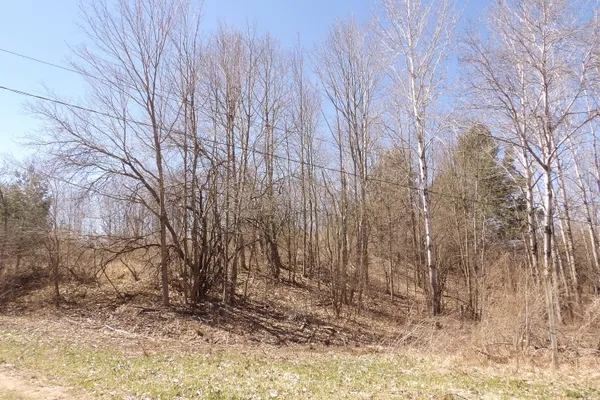 $4,500 | 23094 Apache Trail, Evart, MI 49631