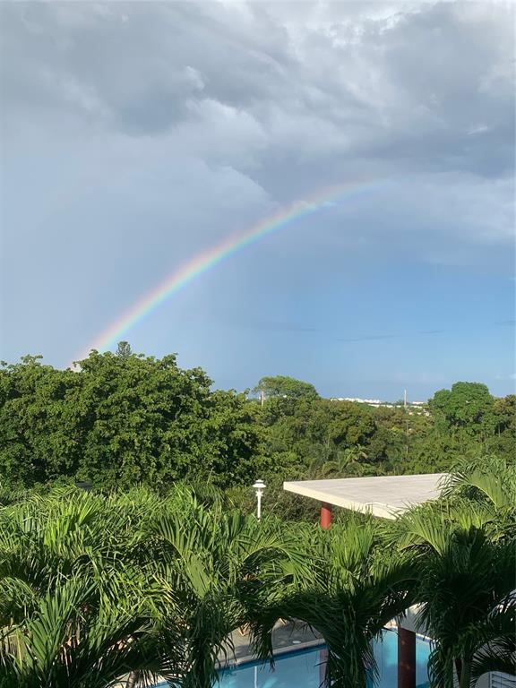2301 Wilton Drive, Unit R409 Wilton Manors, FL 33305 - Photo 35 of 38 a view of a green field with lots of bushes
