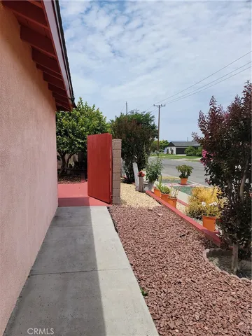 a view of a plants with a flower