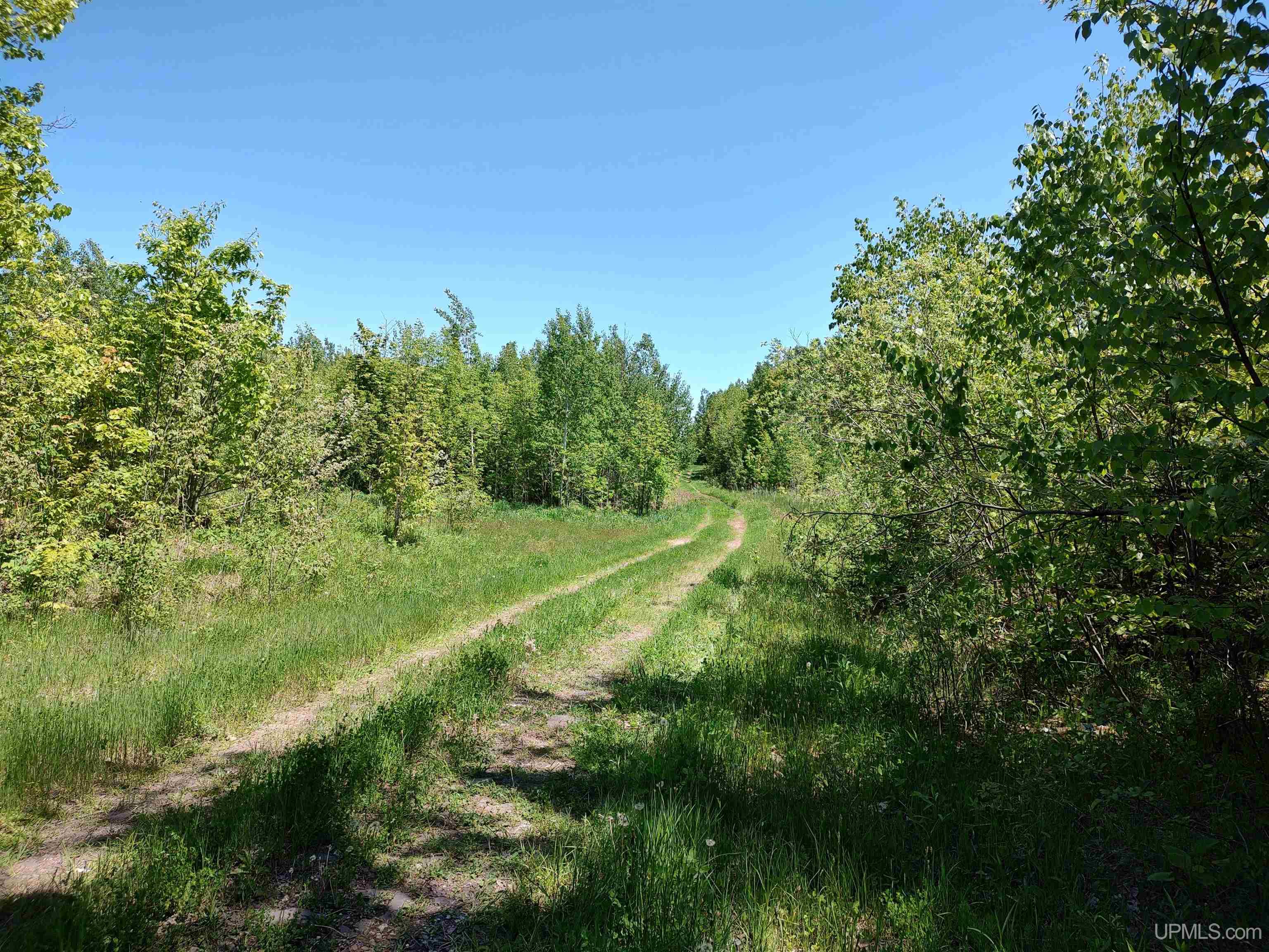 Tbd Woodspur Road Ontonagon, MI 49953 - Photo 8 of 46