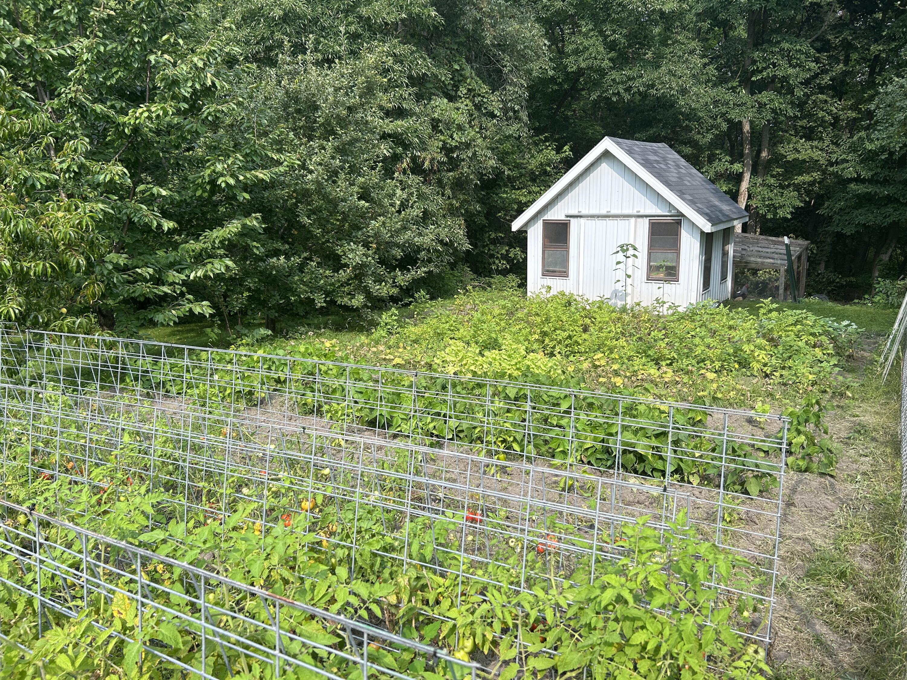 11399 Belding Road Northeast Belding, MI 48809 - Photo 13 of 29 11