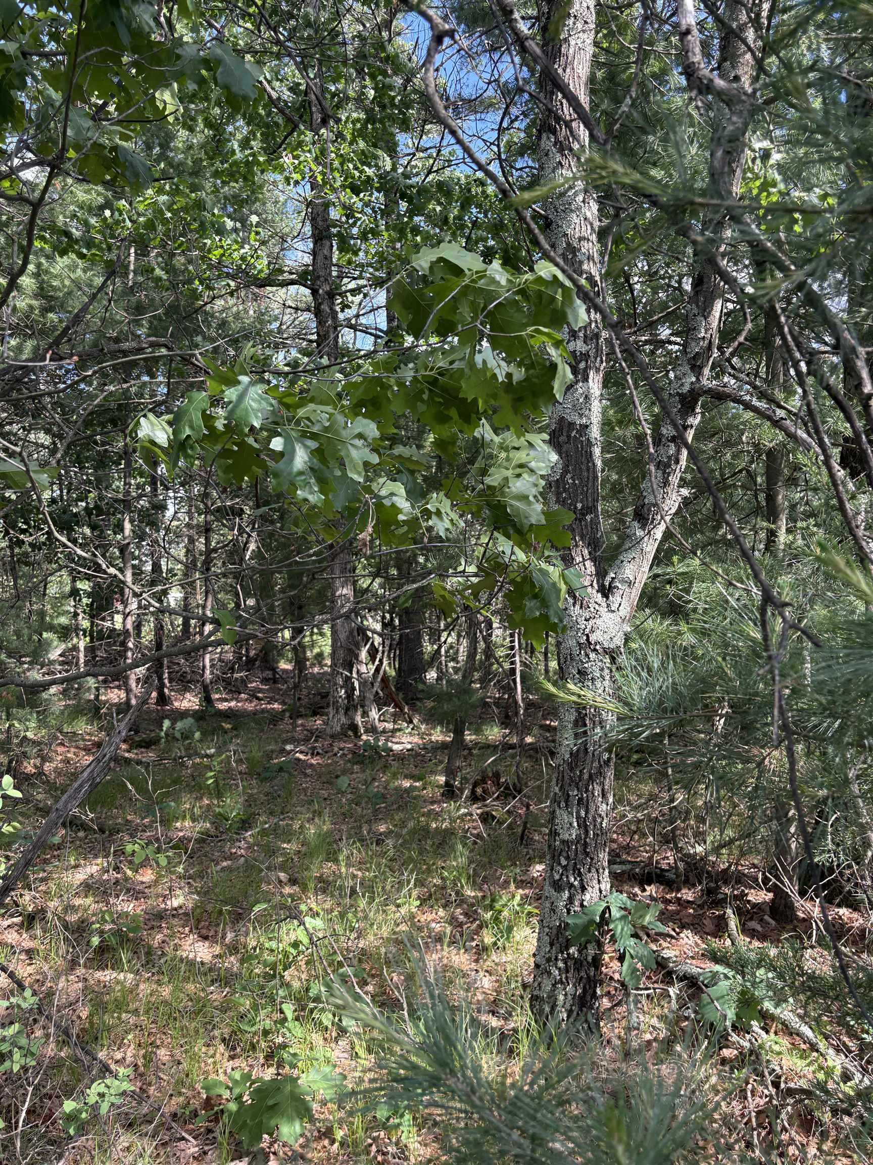 1369 County Rd C Arkdale, WI 54613 - Photo 10 of 13