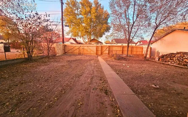 a street view with large trees