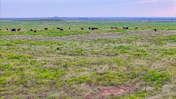 a view of a lush green outdoor space with trees and houses in the background