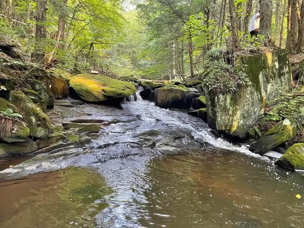 $60,000 | 169 Sherman Street, East Fairfield, VT 05448