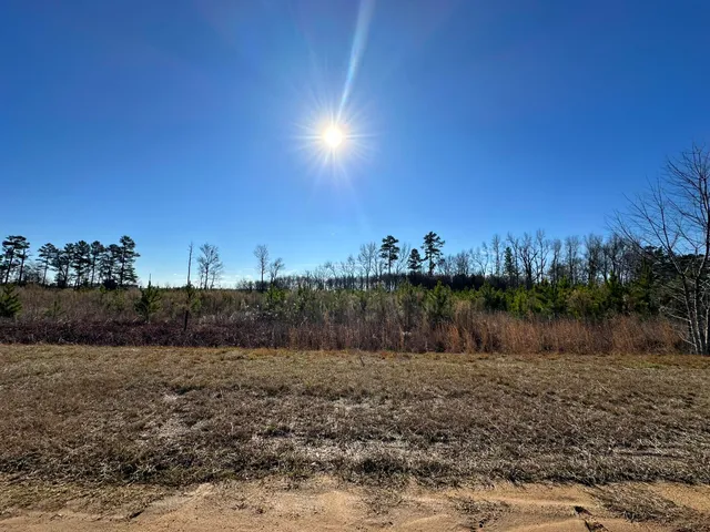 $41,000 | Lot 6 Triangle Road, Louisville, GA 30434
