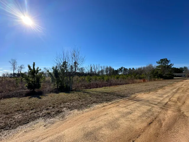 $41,000 | Lot 6 Triangle Road, Louisville, GA 30434