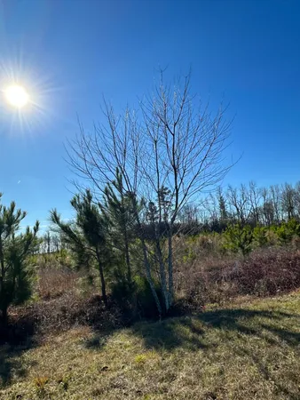 $39,900 | Lot 6 Triangle Road, Louisville, GA 30434