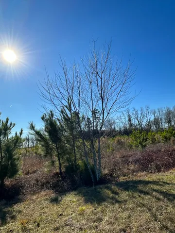 $41,000 | Lot 6 Triangle Road, Louisville, GA 30434