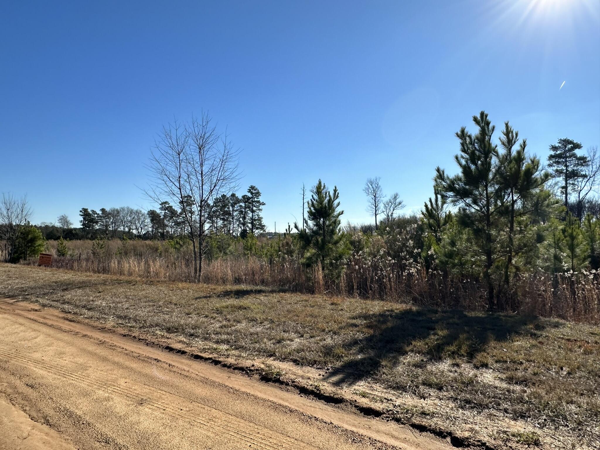 Lot 6 Triangle Road Louisville, GA 30434 - Photo 5 of 10 IMG_7204