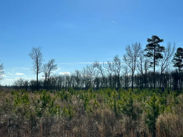 $39,900 | Lot 6 Triangle Road, Louisville, GA 30434