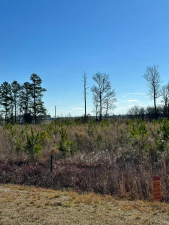 $39,900 | Lot 6 Triangle Road, Louisville, GA 30434
