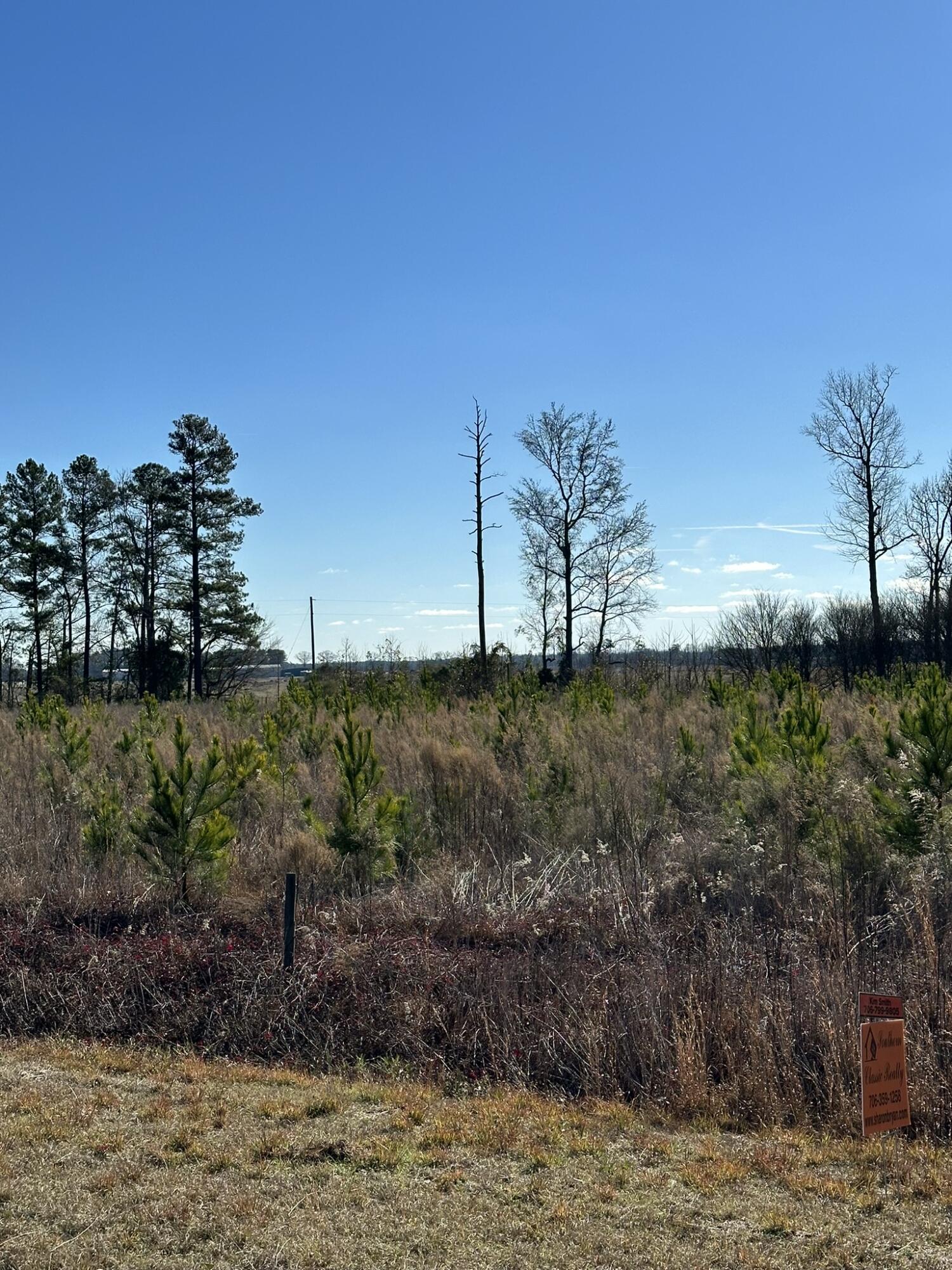 Lot 6 Triangle Road Louisville, GA 30434 - Photo 8 of 10 IMG_7207