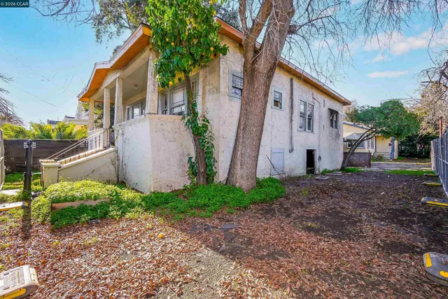 a backyard of a house with plants and large tree