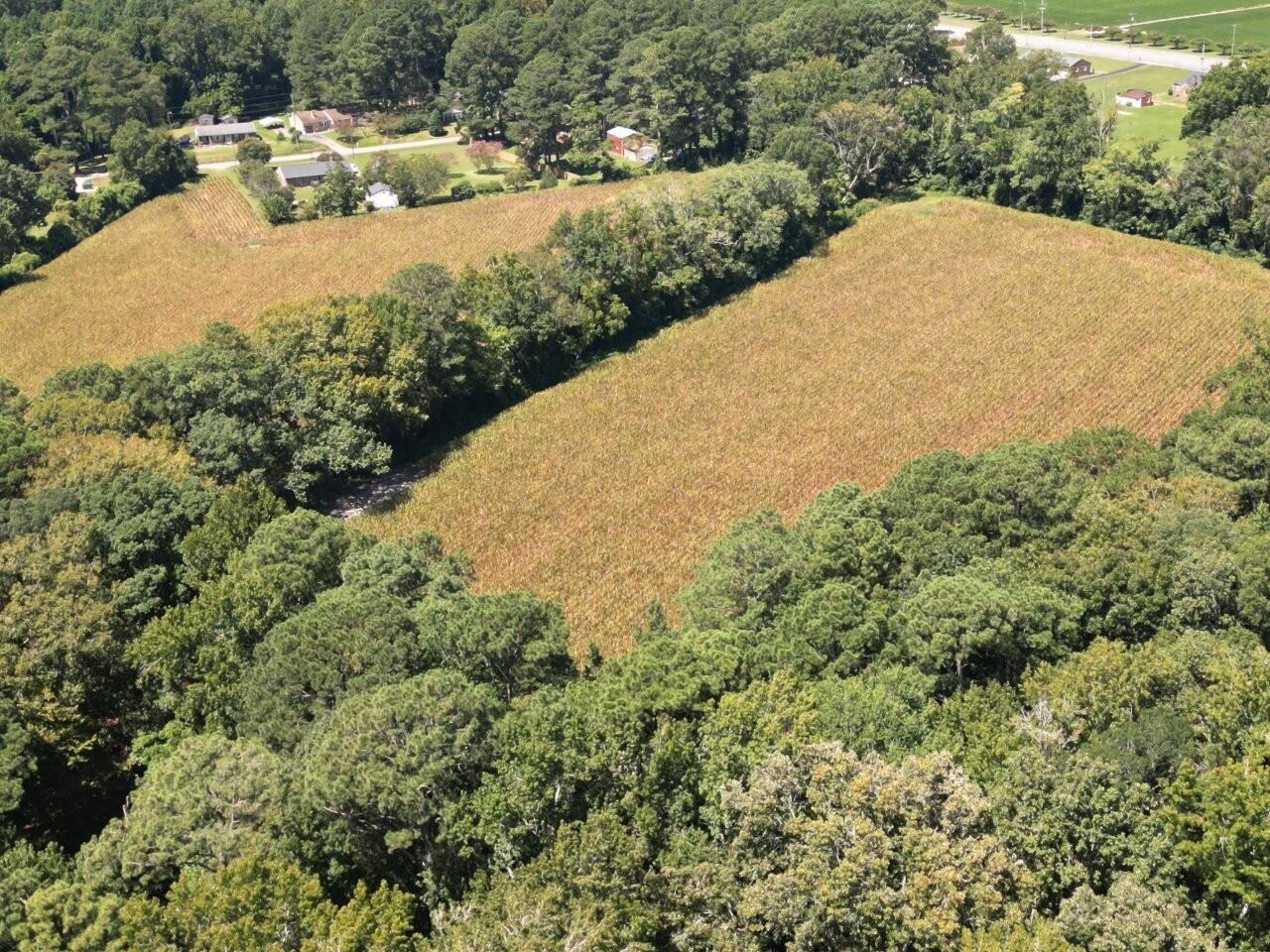 0 Rawlsdale Road Franklin, VA 23851 - Photo 1 of 1 Tract-07-DJI_0737 (002)