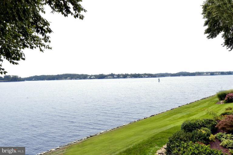 710 South River Landing Road, Unit 710 Edgewater, MD 21037 - Photo 3 of 30 Gently Sloping Lawn to Water's Edge