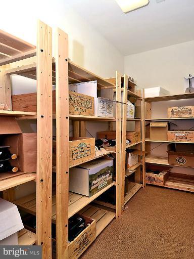 710 South River Landing Road, Unit 710 Edgewater, MD 21037 - Photo 22 of 30 Lower Level 600-Bottle Wine Cellar